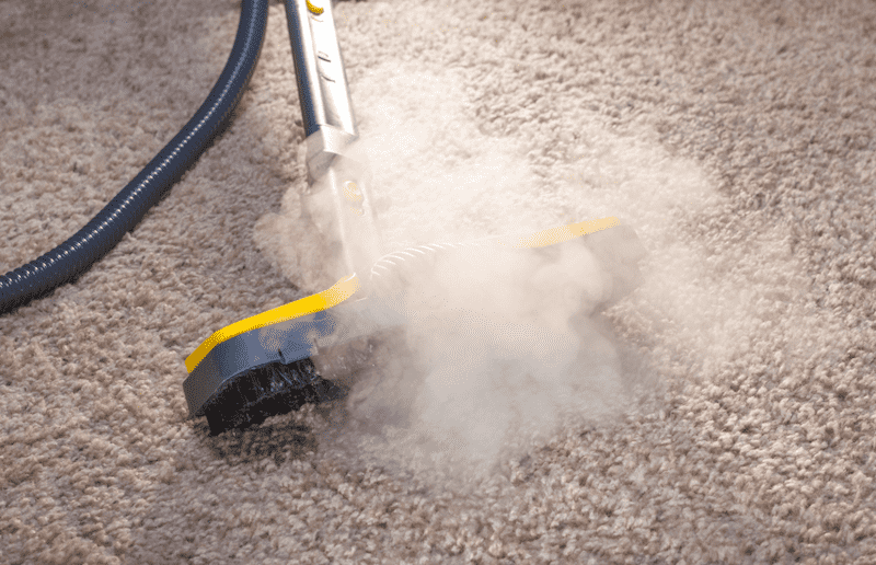 steam carpet cleaning buffalo ny