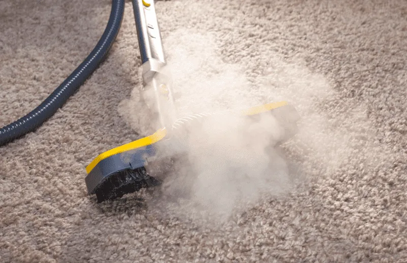 steam carpet cleaning buffalo ny