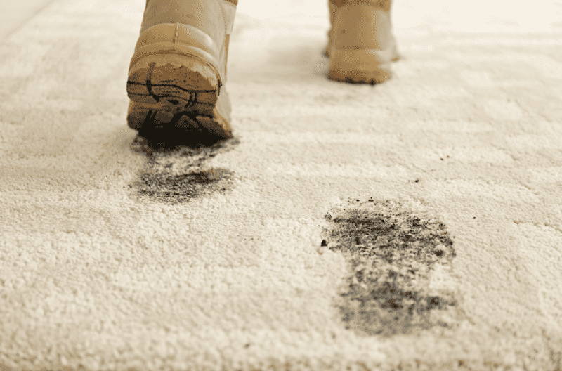 traffic lane carpet cleaning buffalo ny