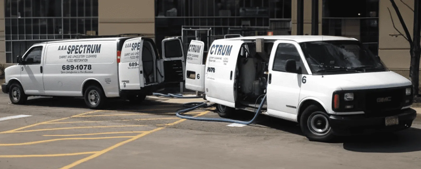 carpet and upholstery cleaning buffalo ny